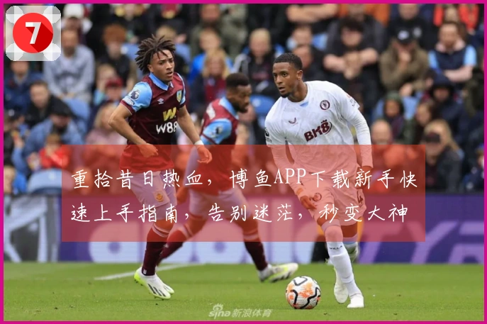 重拾昔日热血，博鱼APP下载新手快速上手指南，告别迷茫，秒变大神