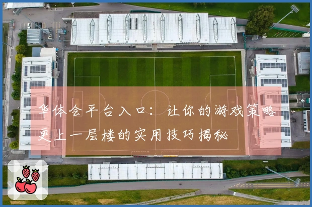 华体会平台入口：让你的游戏策略更上一层楼的实用技巧揭秘