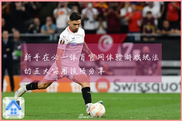 新手在必一体育官网体验游戏玩法的五大实用技巧分享