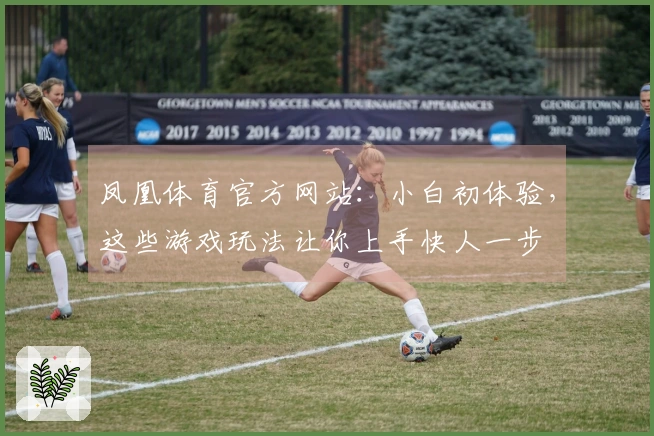 凤凰体育官方网站：小白初体验，这些游戏玩法让你上手快人一步